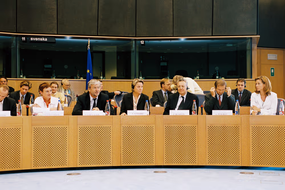 Convention on the Future of Europe. Debate