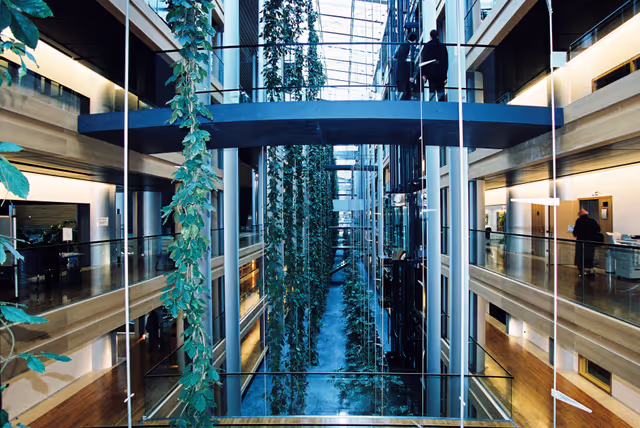 Fotografi 5: Illustration inside the EP in Strasbourg