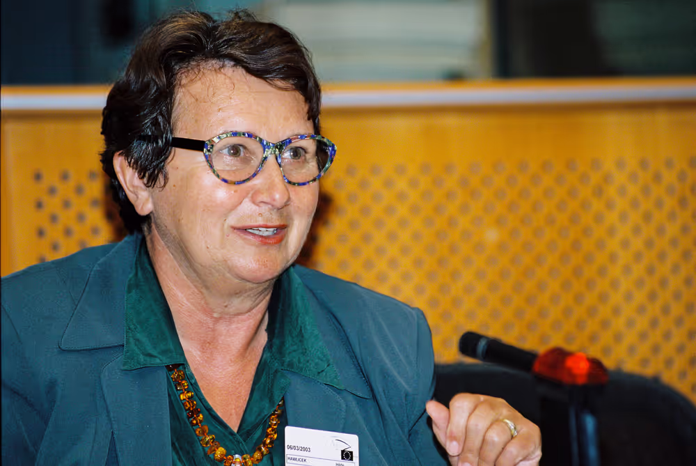 Meeting at the European Parliament in Brussels