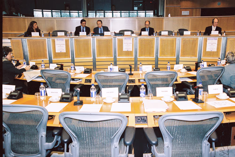 Public Hearing: European Heritage and Privatisation