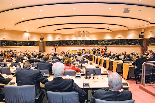 Fotografia 16: Public hearing at the European Parliament in Brussels