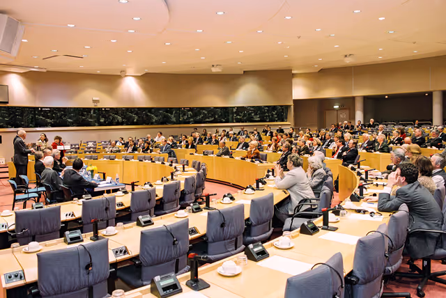 Fotografia 15: Public hearing at the European Parliament in Brussels