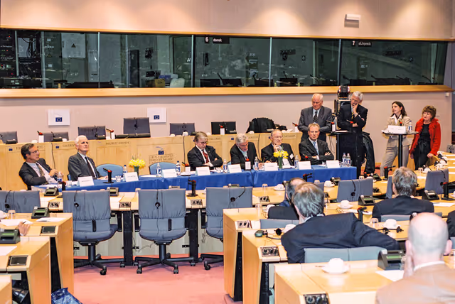 Fotografia 18: Public hearing at the European Parliament in Brussels