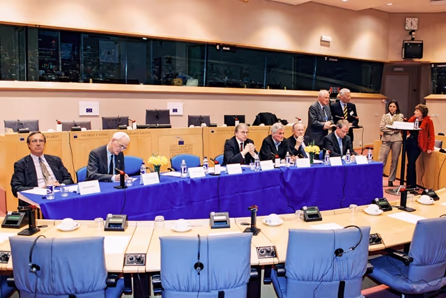 Fotografia 3: Public hearing at the European Parliament in Brussels