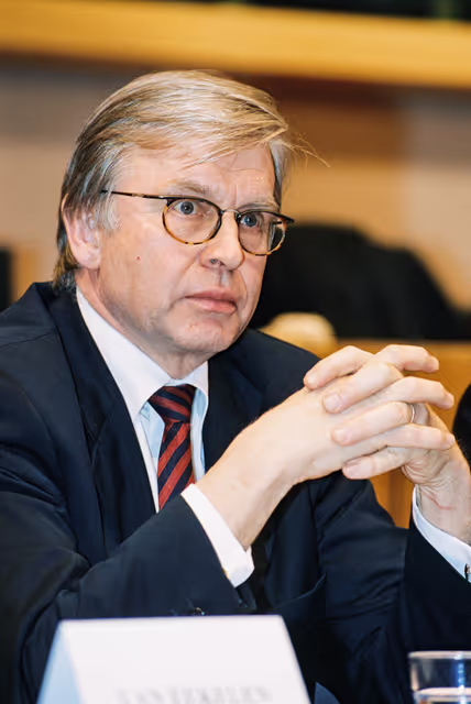 Fotografia 7: Public hearing at the European Parliament in Brussels