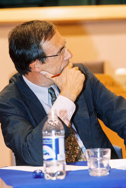 Fotografia 12: Public hearing at the European Parliament in Brussels