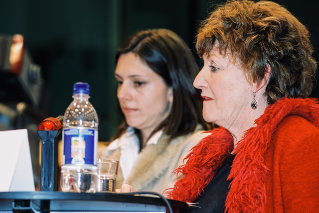 Fotografia 11: Public hearing at the European Parliament in Brussels