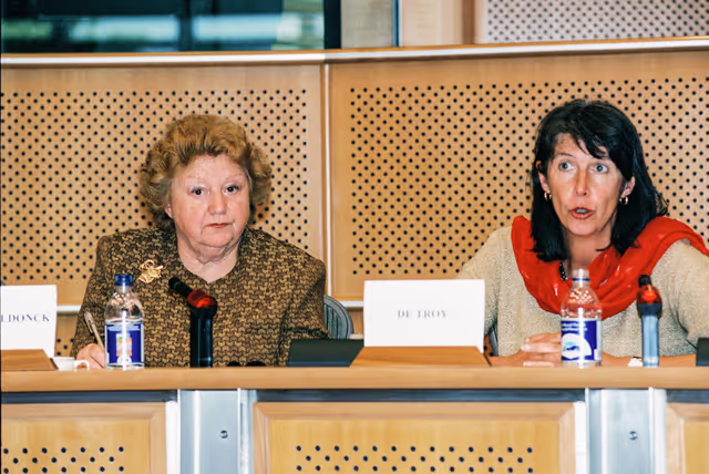 FEMM Committee Meeting:  Daphne Programme: Evaluation and Future Perspectives