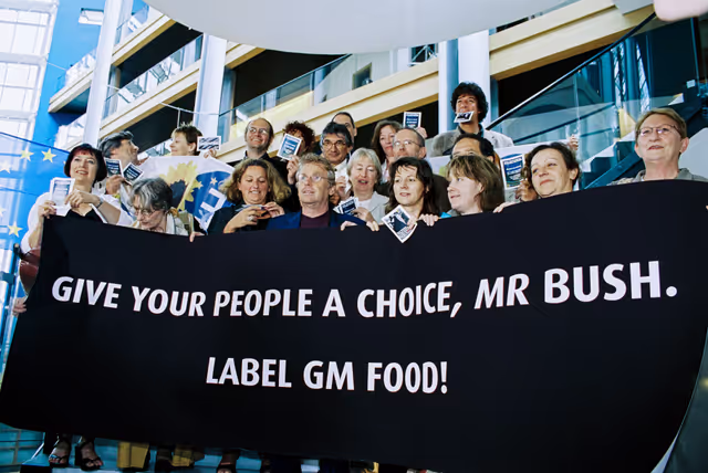 Fotó 9: Greens - EFA Meps with a banner that reads ' Give your people a choice, Mr Bush. Label GM food ! '