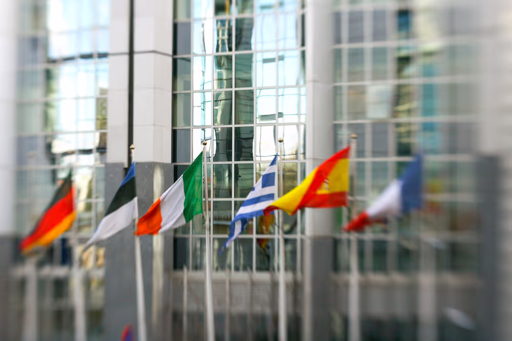Flags of some country members of the European Union floating in the wind