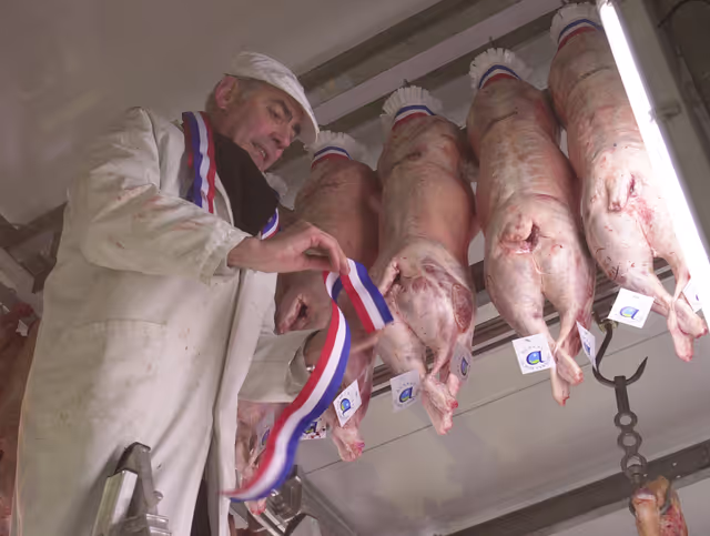 Foto 12: A man gets slaughtered porks labelled with a french flag