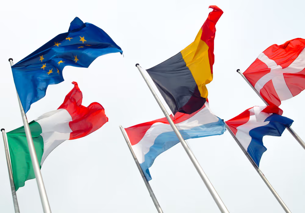 Flags of some country members of the European Union floating in the wind