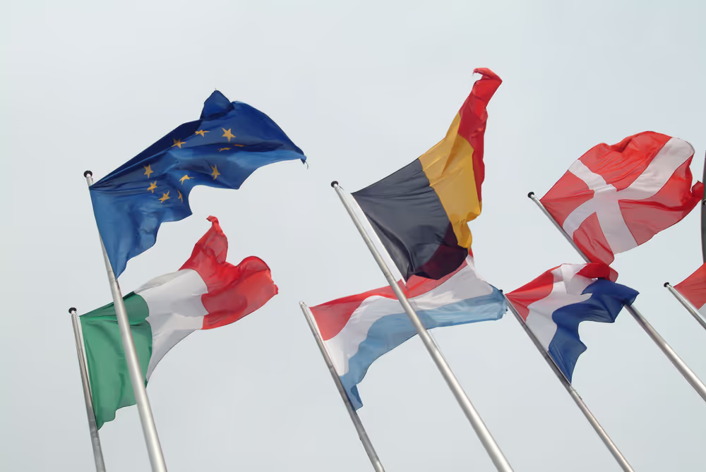 Flags of the EU member states.