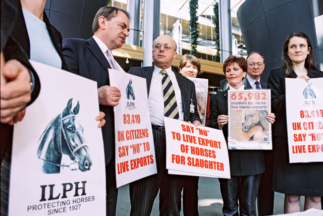 Fotó 4: Action:  Say NO to live Export of Horses for slaughter