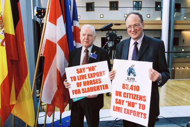 Fotó 6: Action:  Say NO to live Export of Horses for slaughter