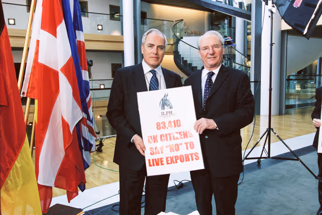 Fotó 5: Action:  Say NO to live Export of Horses for slaughter
