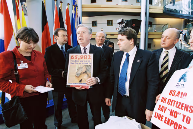 Fotó 3: Action:  Say NO to live Export of Horses for slaughter