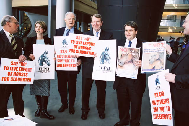 Fotó 7: Action:  Say NO to live Export of Horses for slaughter