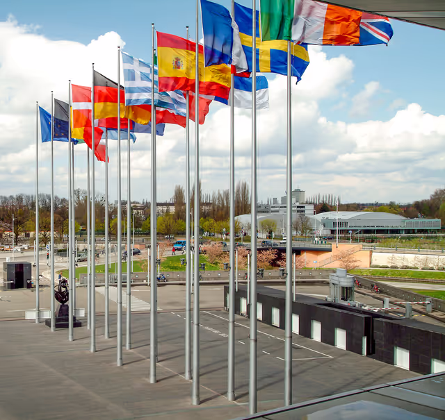 Photo 33: Flags of some country members of the European Union floating in the wind