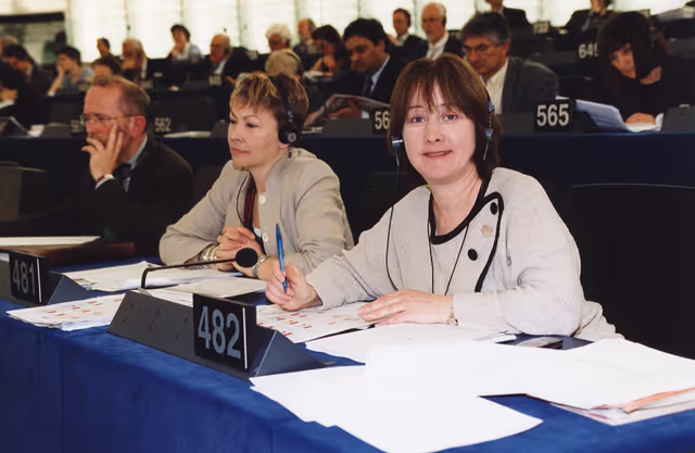 Billede 14: Plenary session at the European Parliament in Strasbourg