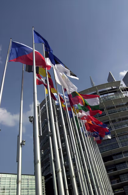 Fotografie 3: Flags of Europe in front of the LOW Building in Strasbourg