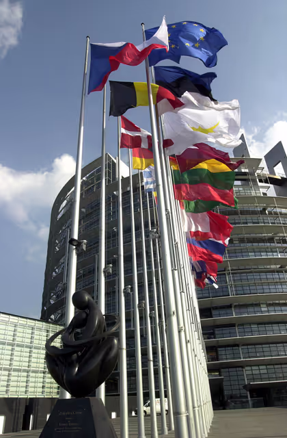 Fotografie 4: Flags of Europe in front of the LOW Building in Strasbourg