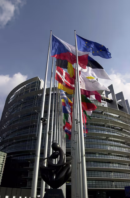 Fotografie 5: Flags of Europe in front of the LOW Building in Strasbourg