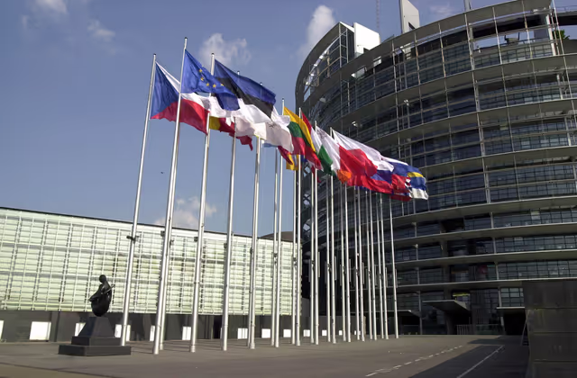 Fotografie 2: Flags of Europe in front of the LOW Building in Strasbourg