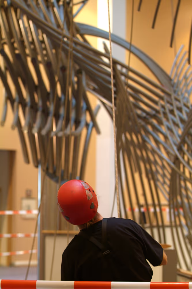 Confluences Sculpture by Olivier STREBELLE