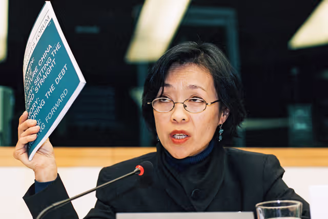 Foto 5: Public Hearing:  China and the EU arms embargo: Time to lift the embargo ?