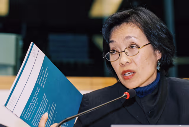 Foto 4: Public Hearing:  China and the EU arms embargo: Time to lift the embargo ?