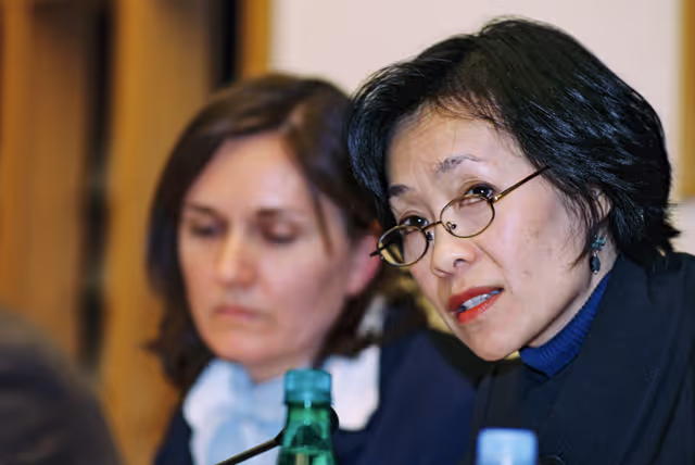 Foto 6: Public Hearing:  China and the EU arms embargo: Time to lift the embargo ?