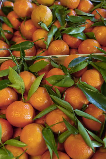 Foto 41: Mandarin oranges