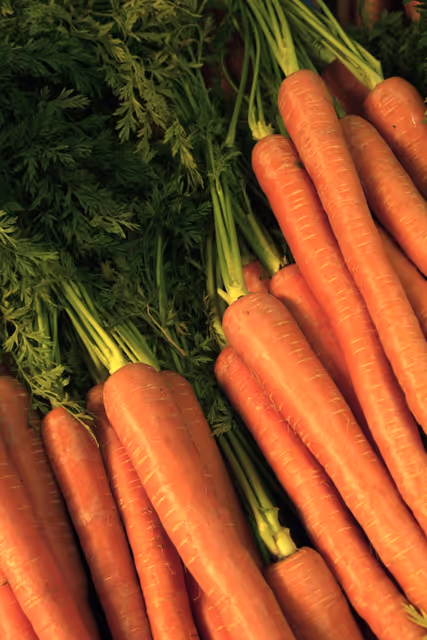 Foto 16: Carrots