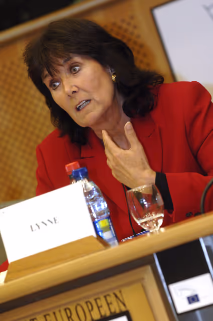 Photo 2 : MEP Elizabeth LYNNE presides over a meeting on smoking