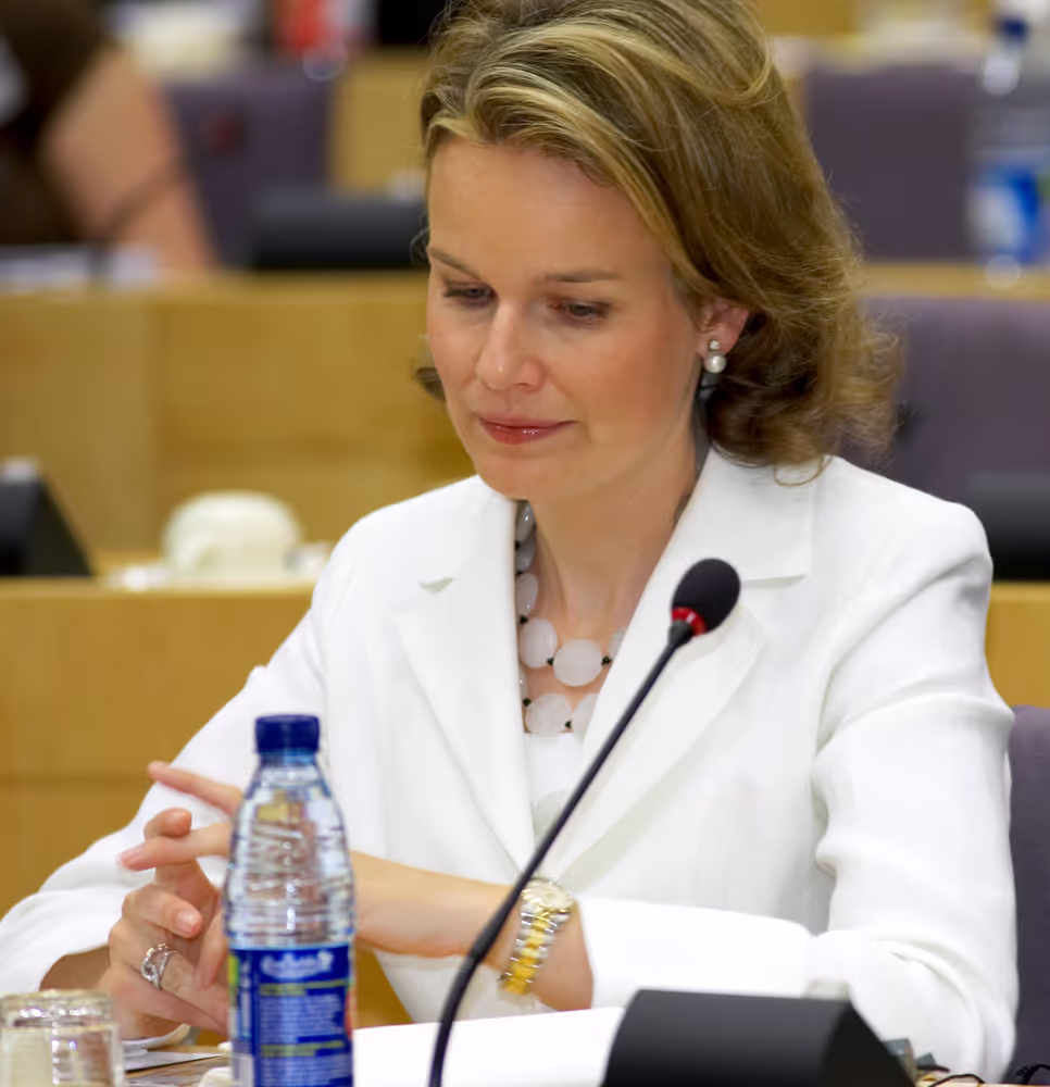 Princess Mathilde of Belgium attends a meeting in Brussels