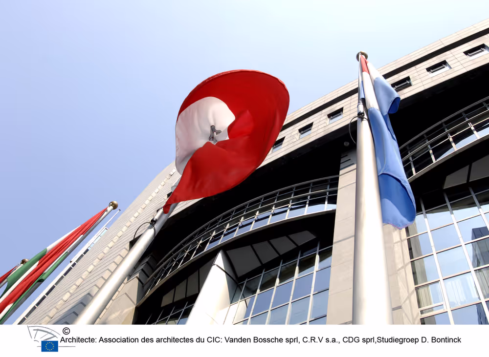 Flags in front of the EP building in Brussels.