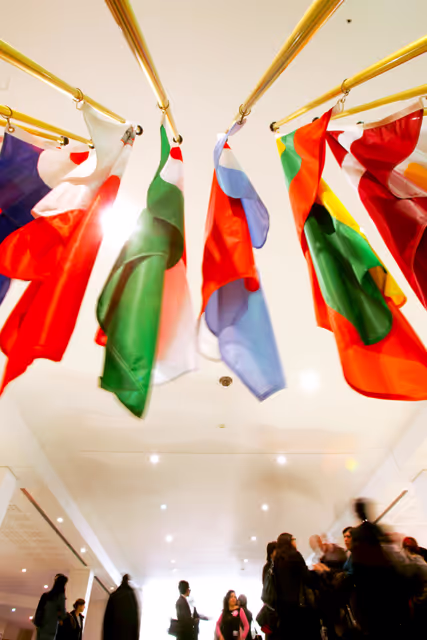 Photo 36: Flags of some country members of the European Union in a hall in 2007