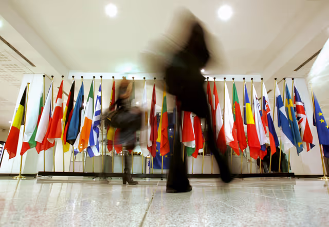 Photo 45: Flags of the country members of the European Union in a hall in 2007