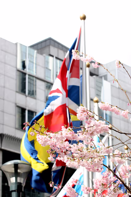Valokuva 32: UK flag and flowers near the EP in Brussels.