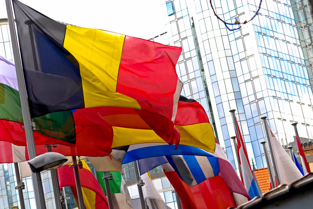 Flags of some country members of the European Union floating in the wind