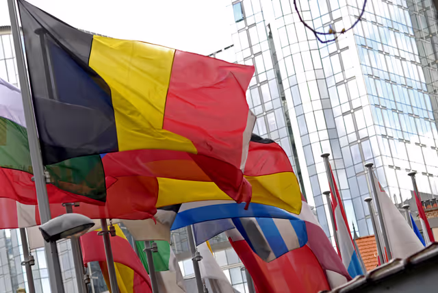 Photo 6: Flags of the EU member states in front of the EP in Brussels.