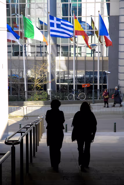 Photo 30: Flags of some country members of the European Union floating in the wind