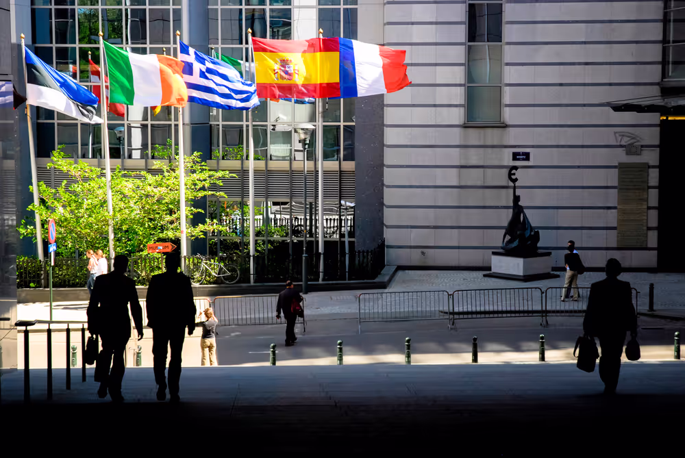 Flags of some country members of the European Union floating in the wind