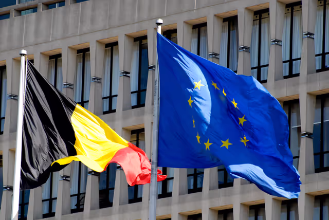 Photo 3: European flag.