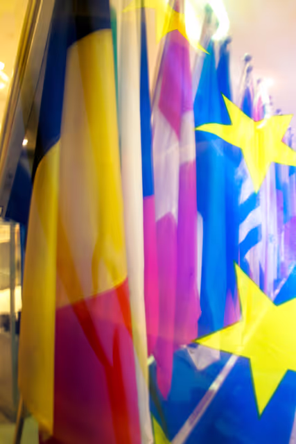 Foto 6: Veiled flags of some country members of the European