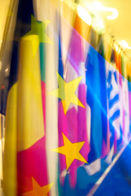Foto 5: Veiled flags of some country members of the European