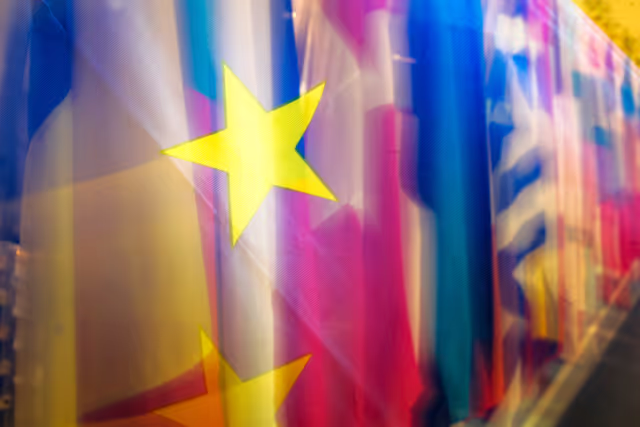 Foto 9: Veiled flags of some country members of the European
