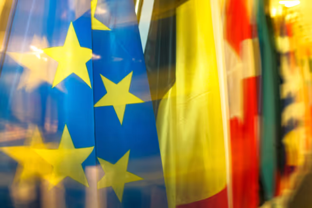 Foto 8: Veiled flags of some country members of the European