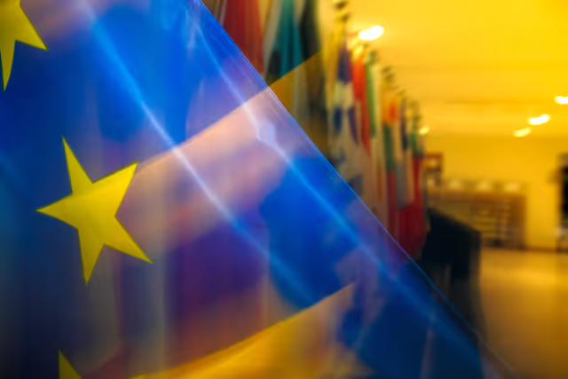 Foto 11: Veiled flags of some country members of the European
